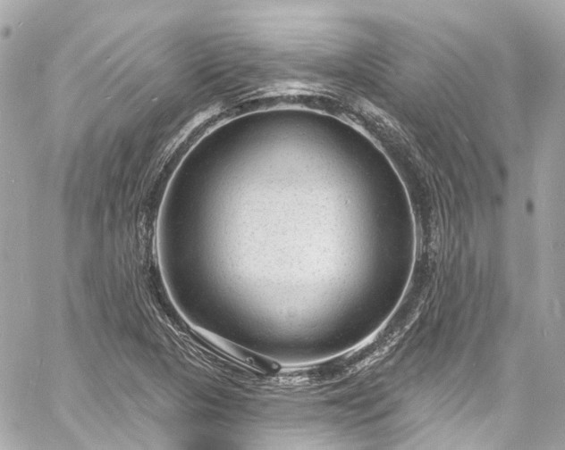 X0000060811313200511141456