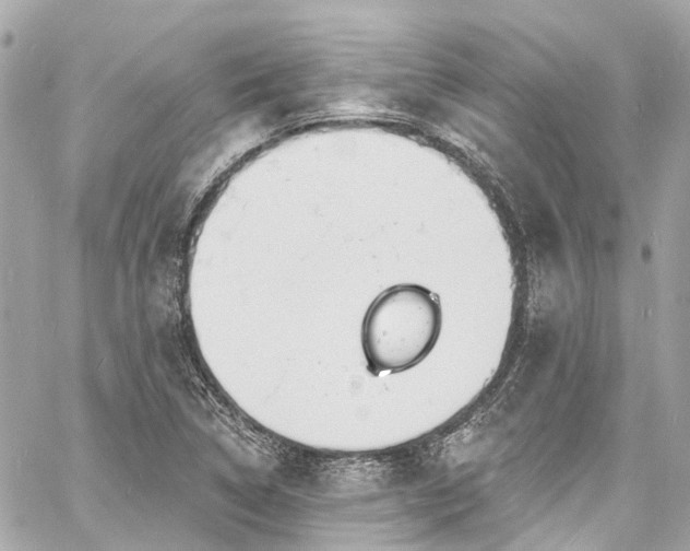 X0000060811314200511141456