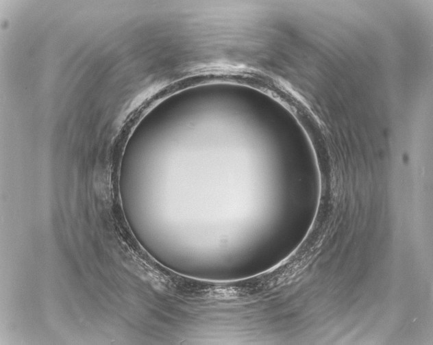 X0000060811315200511141456