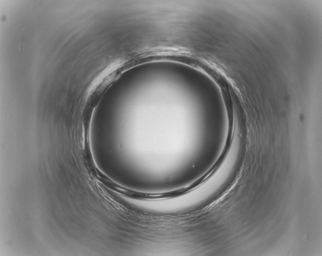 X0000060811317200511141456