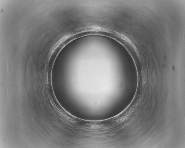 X0000060811318200511141456