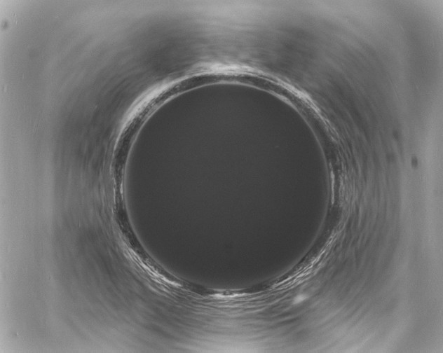 X0000060811319200511141456