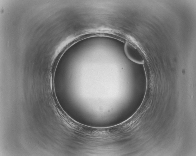 X0000060811320200511141456