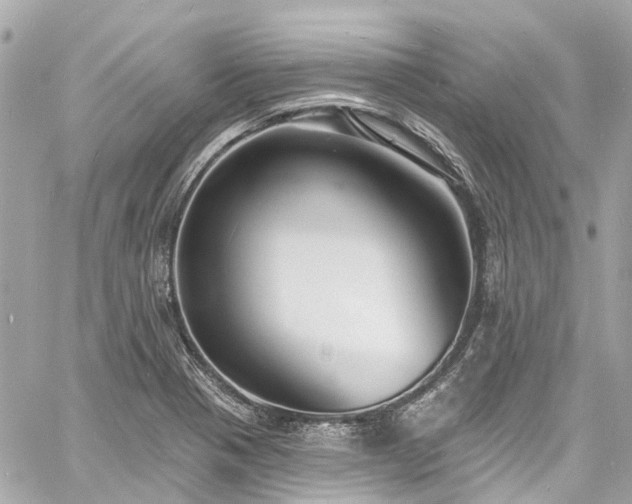 X0000060811321200511141456