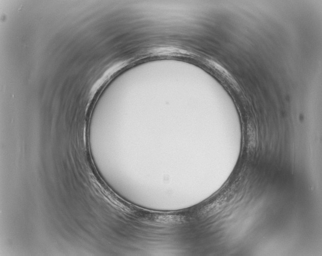 X0000060811322200511141456