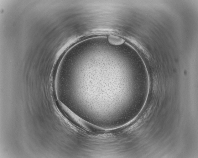 X0000060811325200511141456