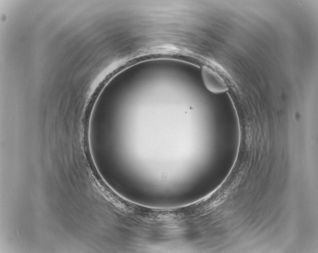 X0000060811326200511141456