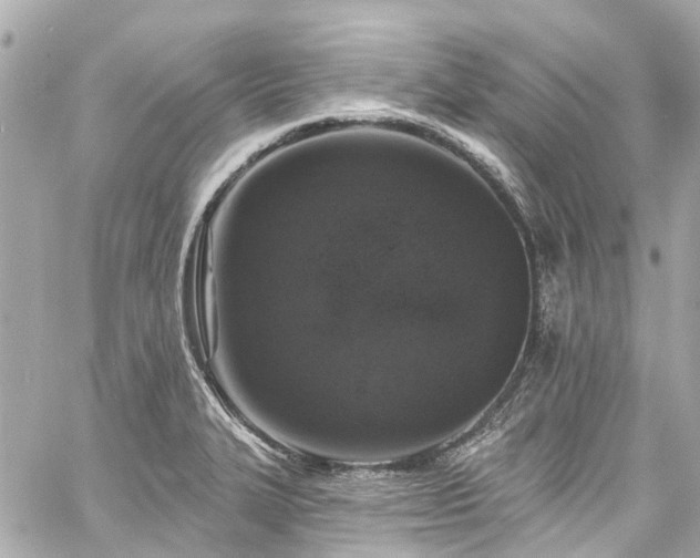 X0000060811327200511141456