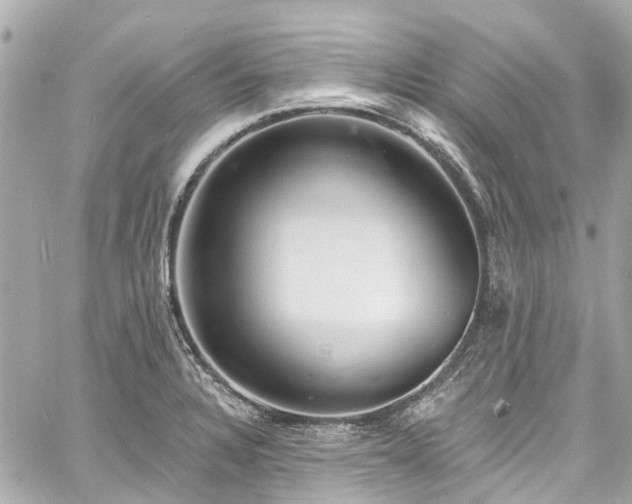 X0000060811328200511141456