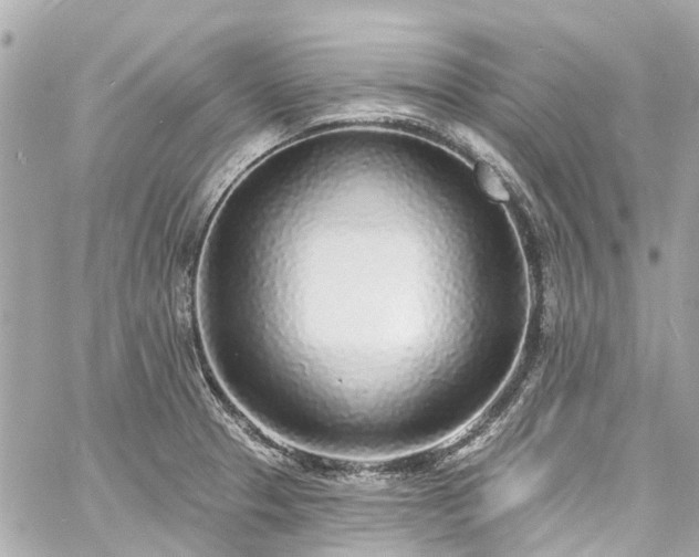 X0000060811329200511141456