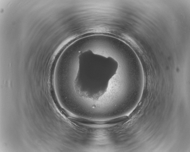 X0000060811331200511141456