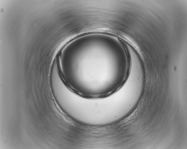 X0000060811332200511141456