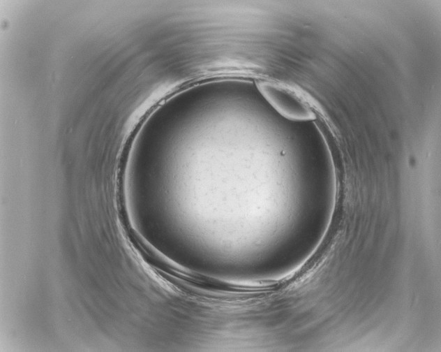 X0000060811333200511141456