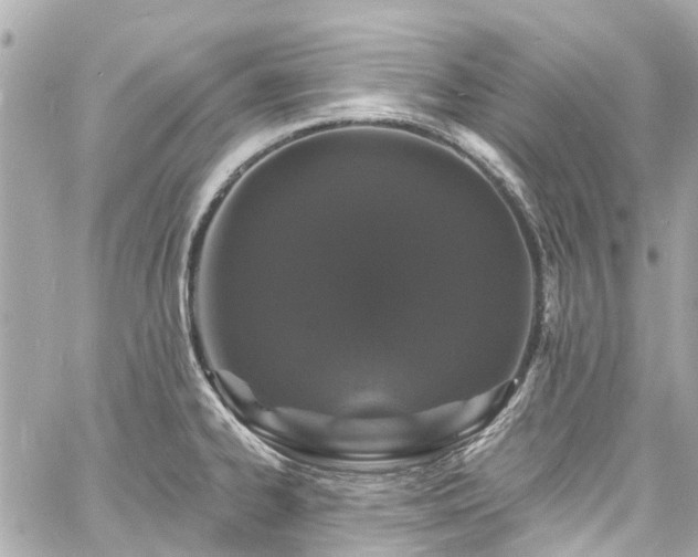 X0000060811334200511141456