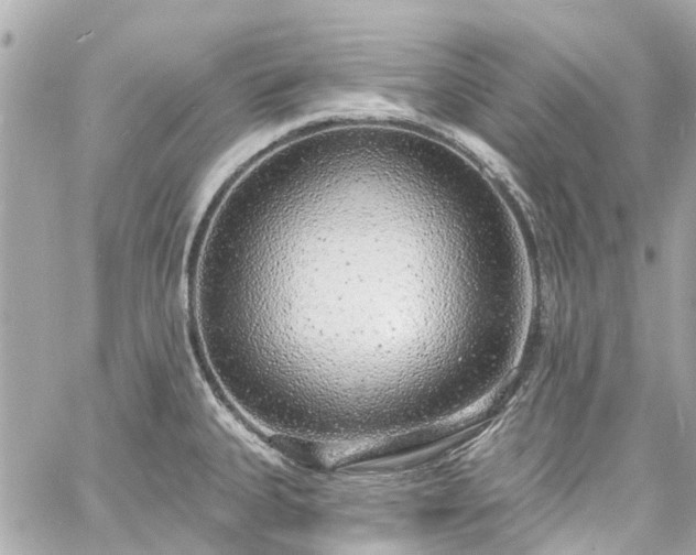 X0000060811335200511141456