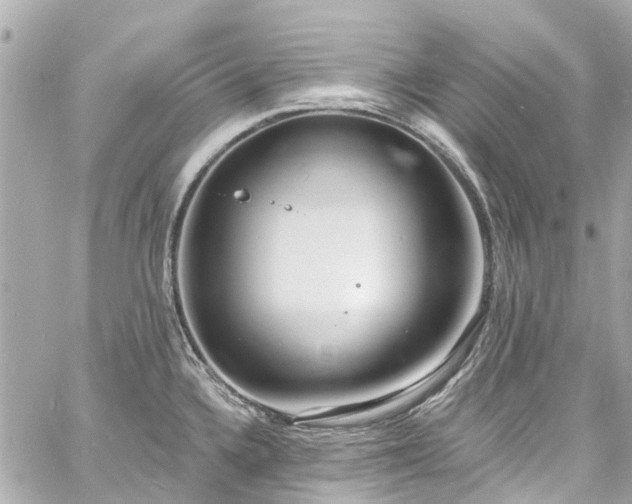 X0000060811336200511141456