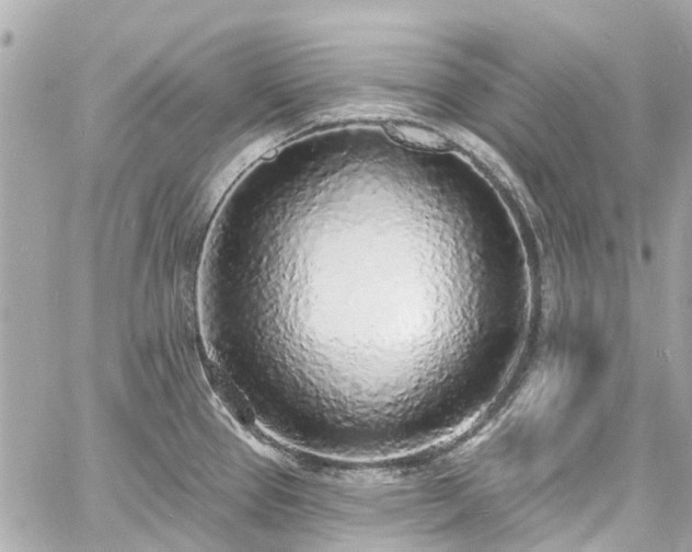 X0000060811337200511141456