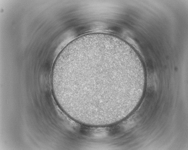 X0000060811338200511141456