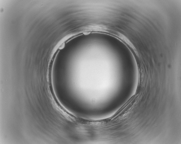 X0000060811339200511141456