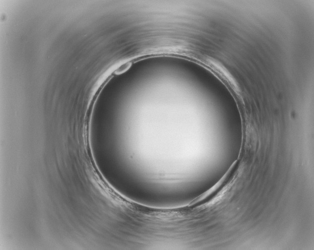 X0000060811340200511141456