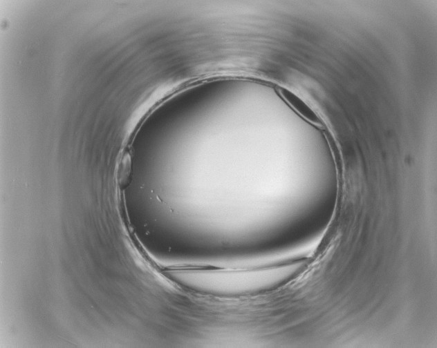 X0000060811341200511141456