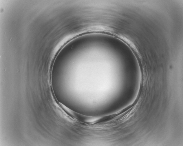 X0000060811342200511141456