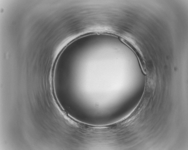 X0000060811343200511141456