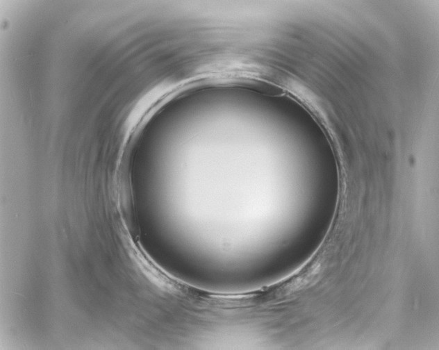 X0000060811344200511141456