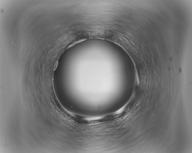 X0000060811345200511141455