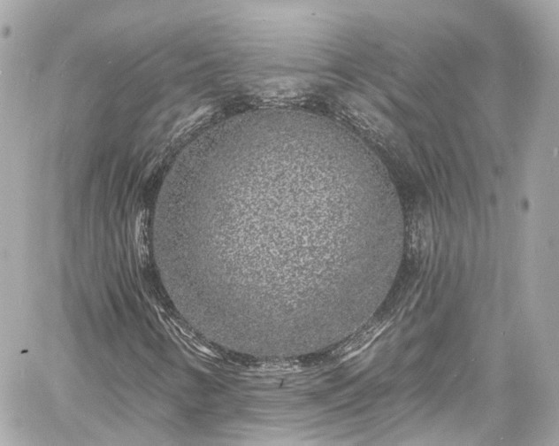 X0000060811346200511141455