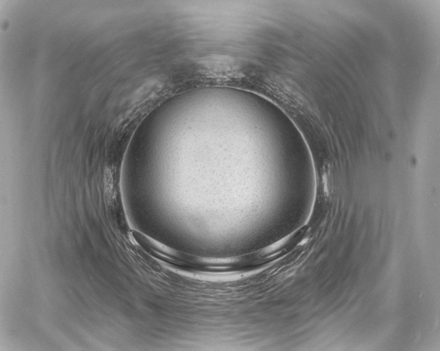 X0000060811347200511141455