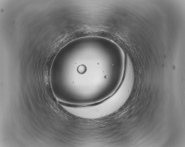 X0000060811348200511141455