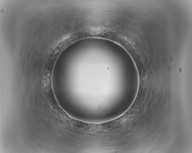 X0000060811349200511141455