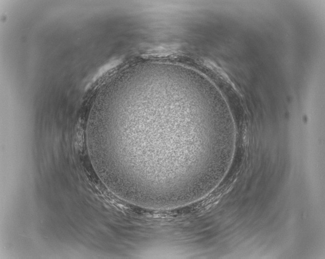 X0000060811350200511141455