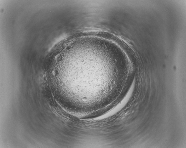 X0000060811351200511141455