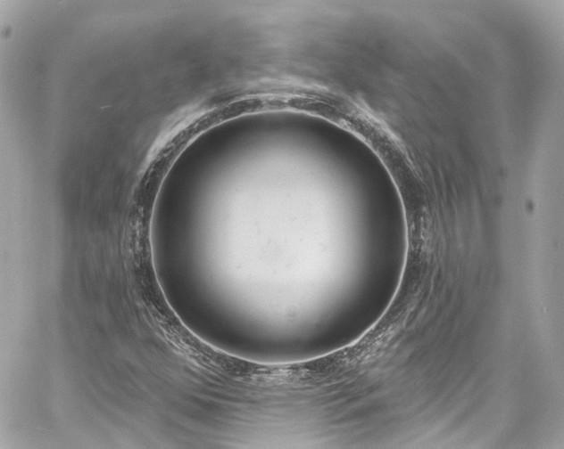 X0000060811352200511141455