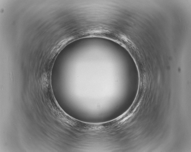 X0000060811353200511141455