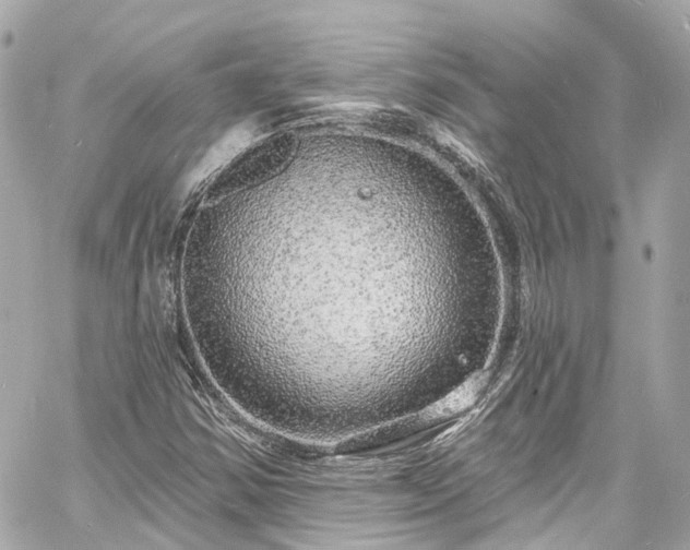 X0000060811354200511141455