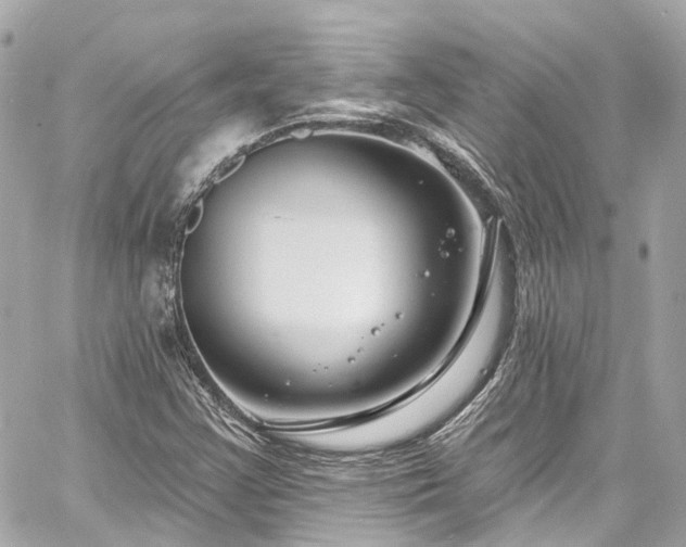 X0000060811355200511141455