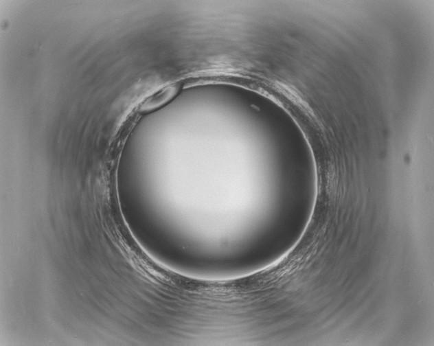 X0000060811356200511141455