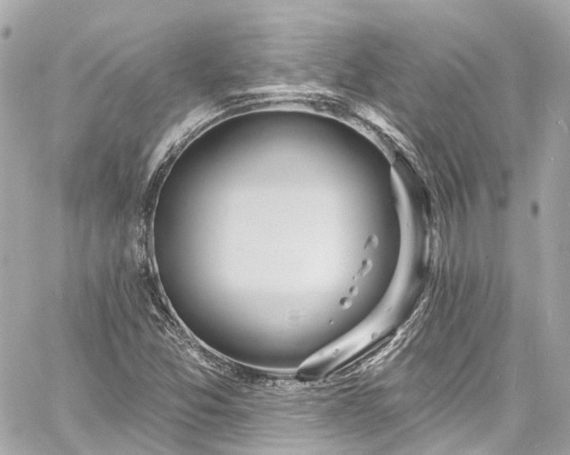 X0000060811357200511141455