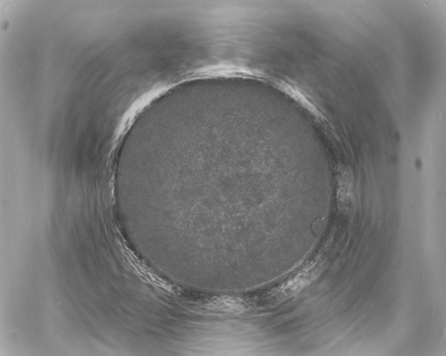 X0000060811358200511141455