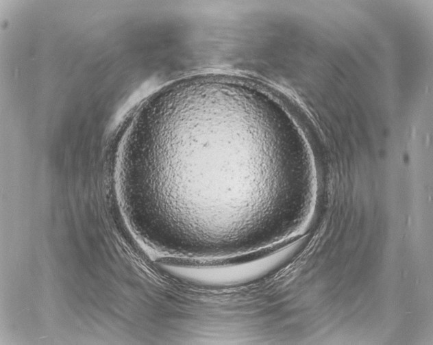 X0000060811359200511141455