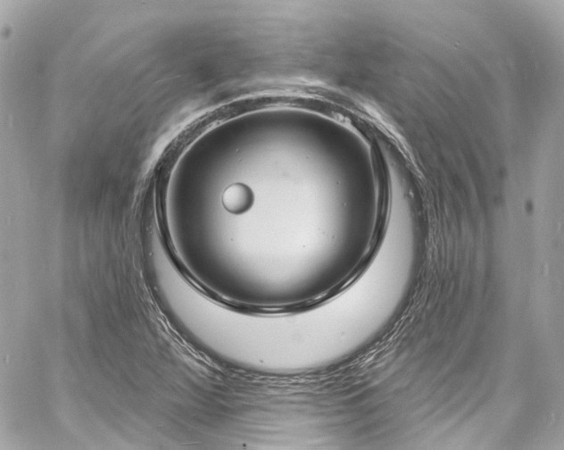 X0000060811360200511141455