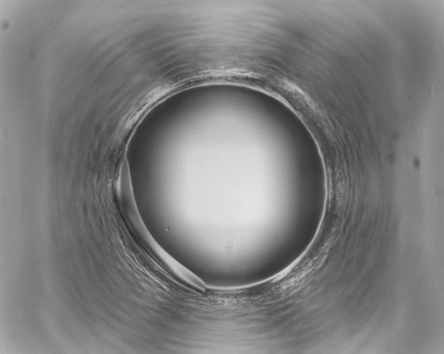 X0000060811361200511141455