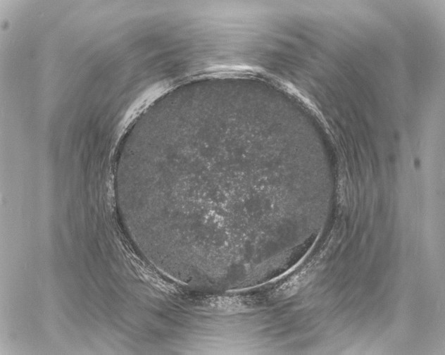 X0000060811362200511141455