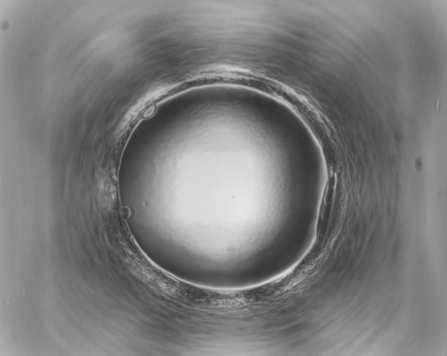 X0000060811363200511141455