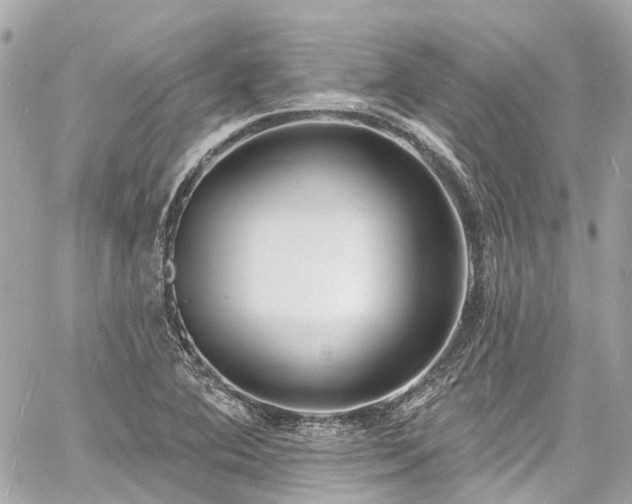 X0000060811364200511141455