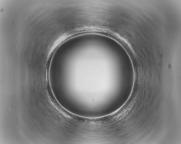 X0000060811365200511141455