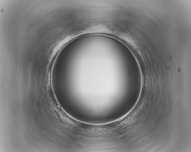 X0000060811366200511141455